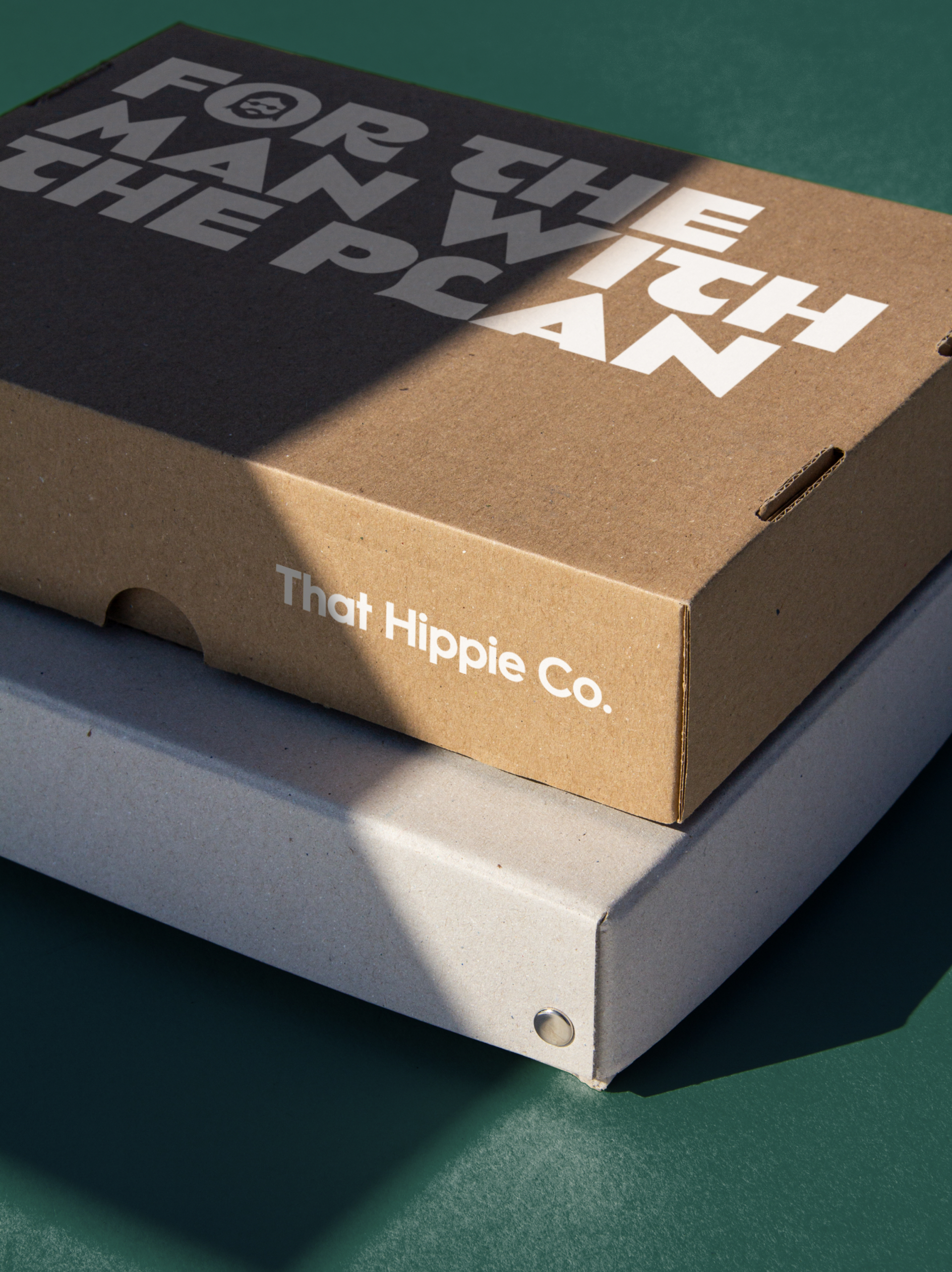 Natural sunlight shining on DTC brand delivery boxes for contemporary brand That Hippie Co. with bold typography “For the man with the plan” branding by Our Revolution