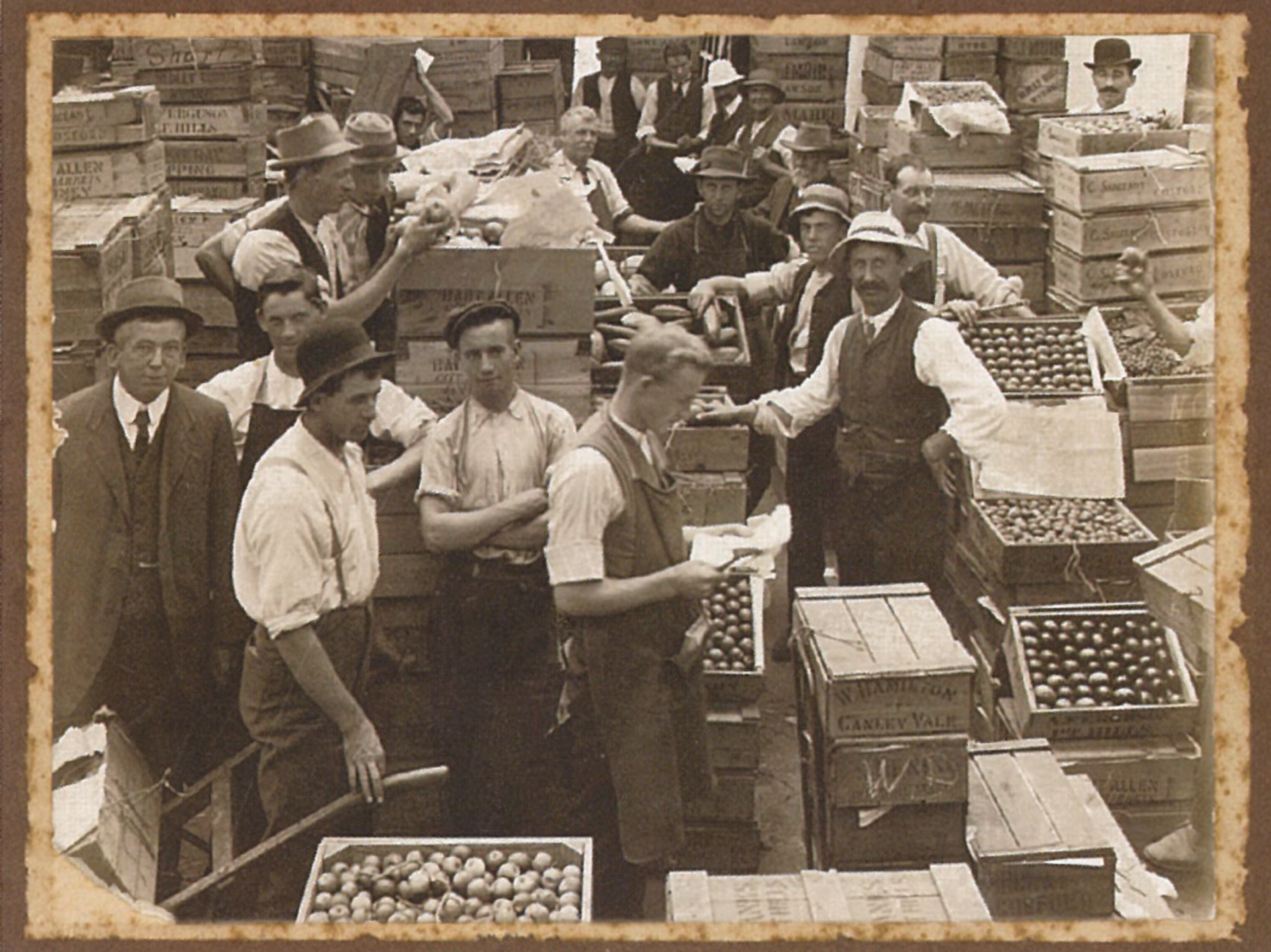Brand research of historical sepia photograph of Goulburn Valley workers with crates of fresh fruit Our Revolution