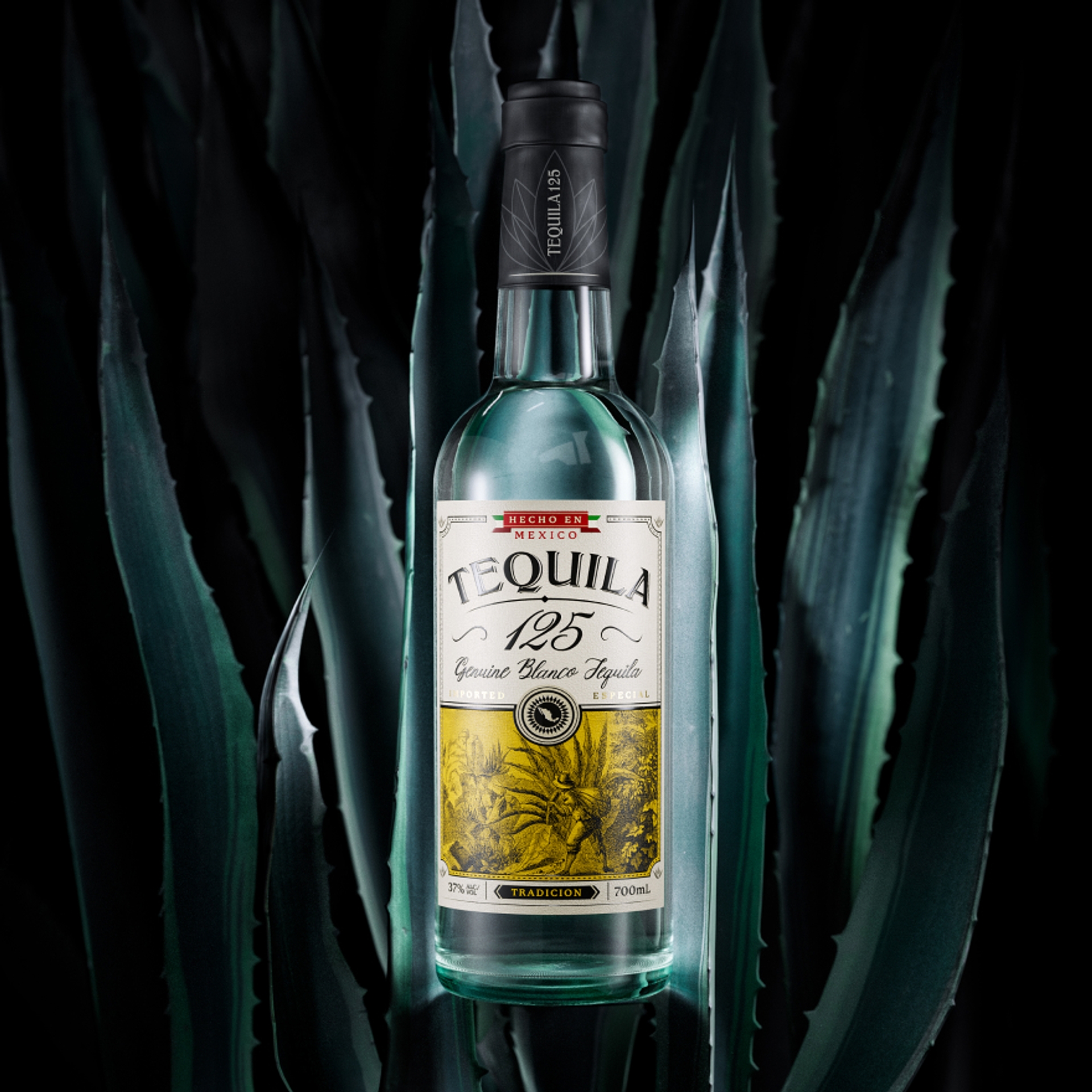 Tequila 125 brand and packaging design by Our Revolution, bottle illuminating surrounded by large agave plant leaves in darkness